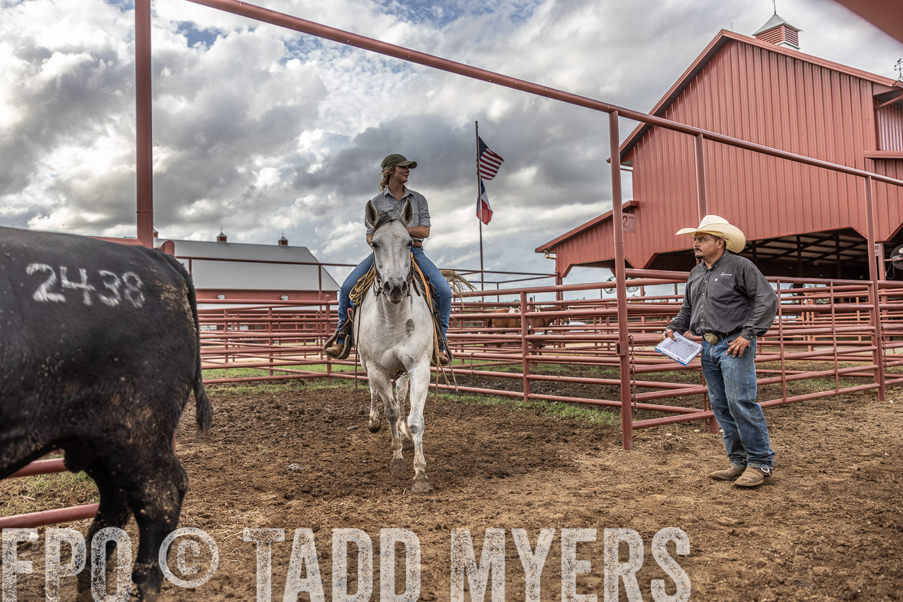 TMyers_FallBullSale_Cameron_Oct2023-516095