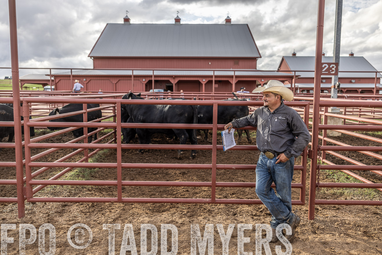 TMyers_FallBullSale_Cameron_Oct2023-516150