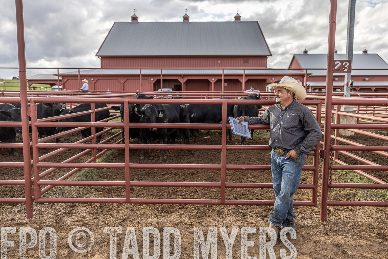 TMyers_FallBullSale_Cameron_Oct2023-516159