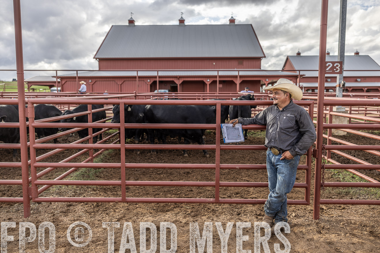TMyers_FallBullSale_Cameron_Oct2023-516161