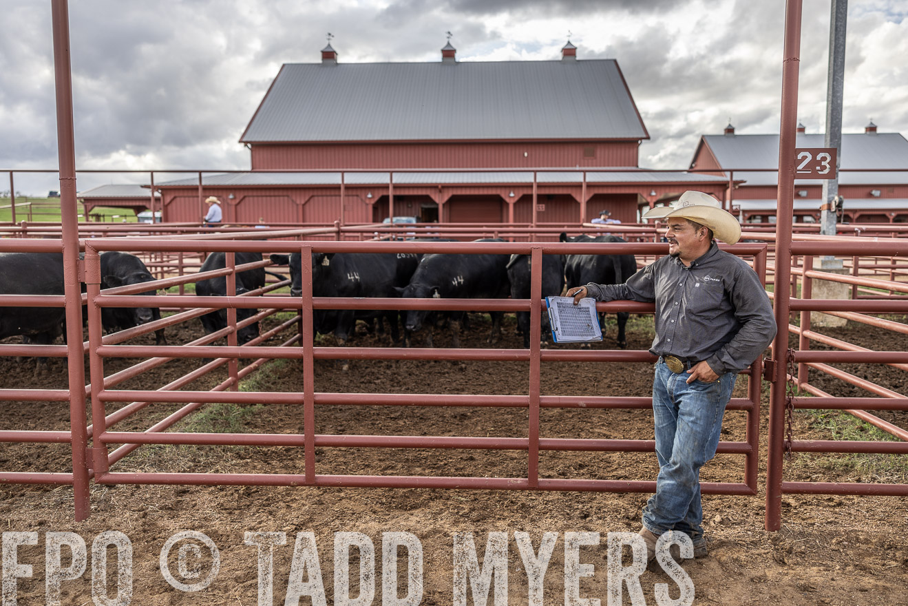 TMyers_FallBullSale_Cameron_Oct2023-516166