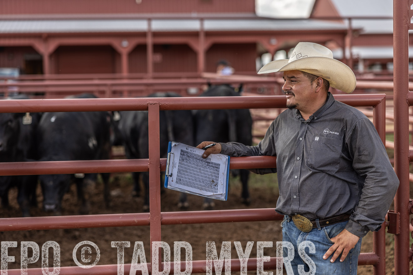 TMyers_FallBullSale_Cameron_Oct2023-516176