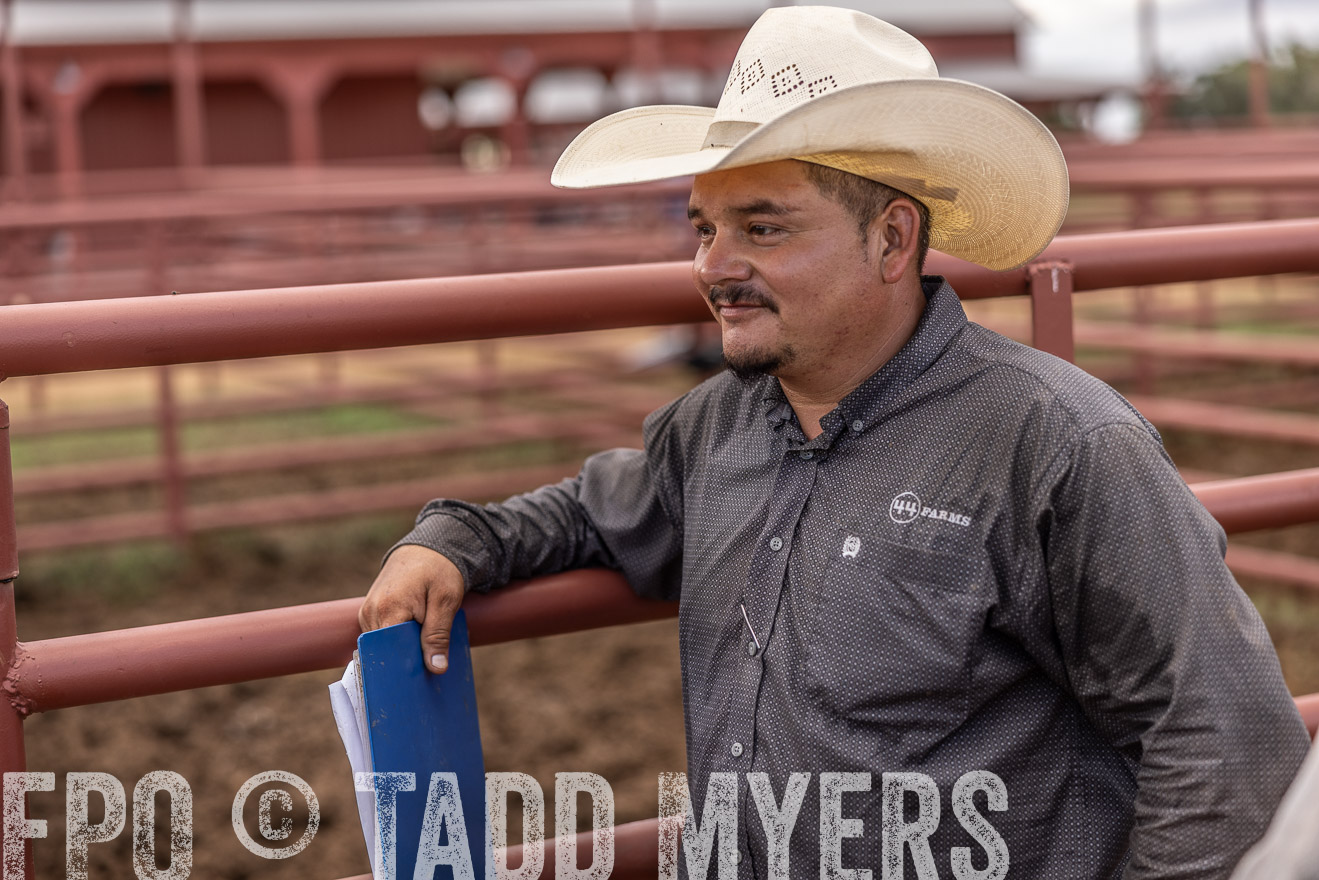 TMyers_FallBullSale_Cameron_Oct2023-516259