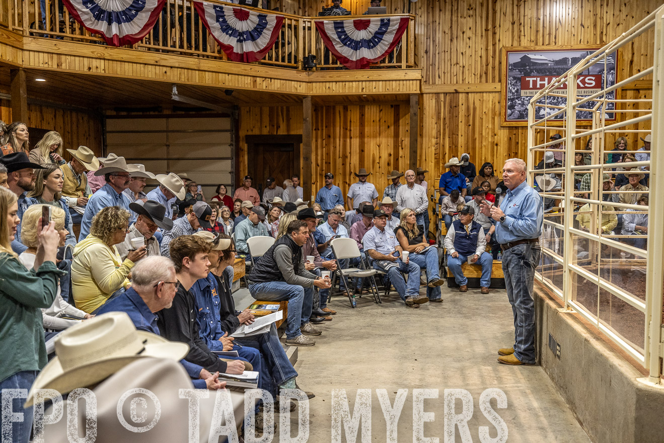 TMyers_FallBullSale_Cameron_Oct2023-525028
