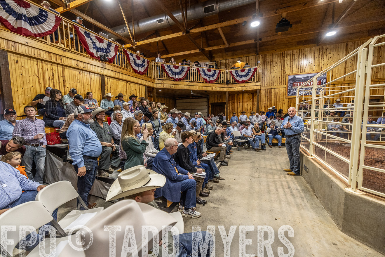 TMyers_FallBullSale_Cameron_Oct2023-525030