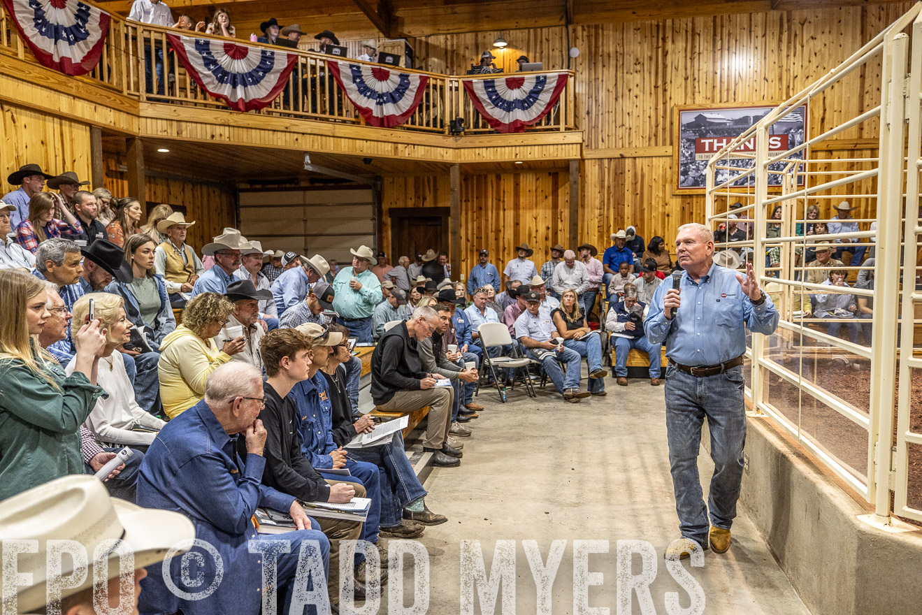 TMyers_FallBullSale_Cameron_Oct2023-525036