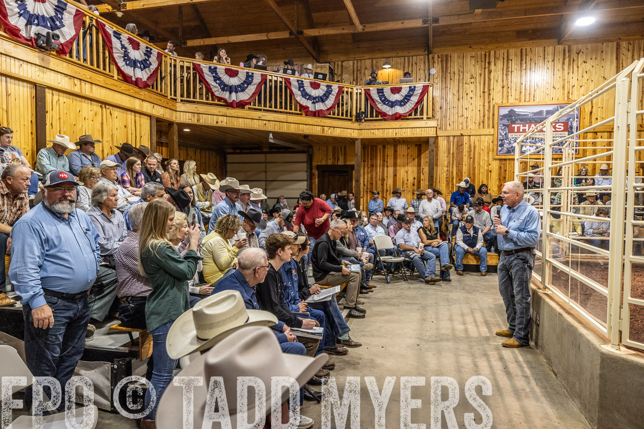 TMyers_FallBullSale_Cameron_Oct2023-525038