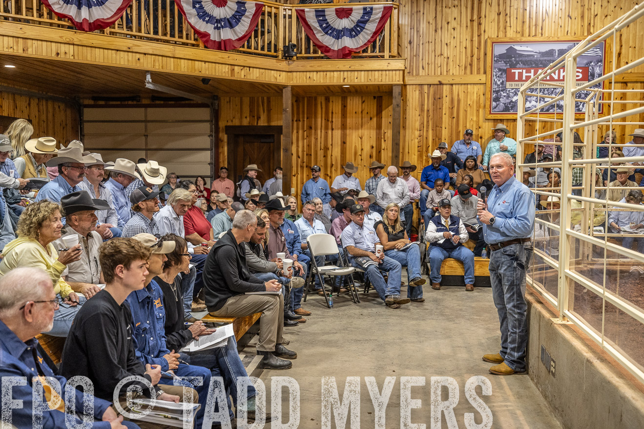 TMyers_FallBullSale_Cameron_Oct2023-525046