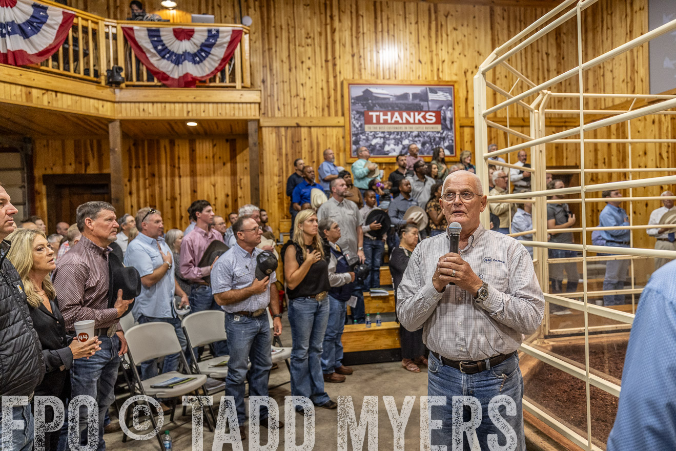 TMyers_FallBullSale_Cameron_Oct2023-525053