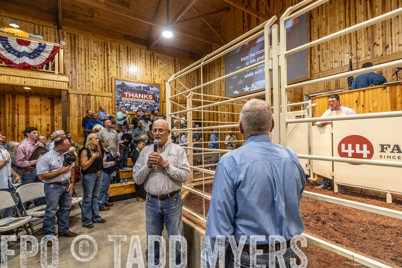 TMyers_FallBullSale_Cameron_Oct2023-525056