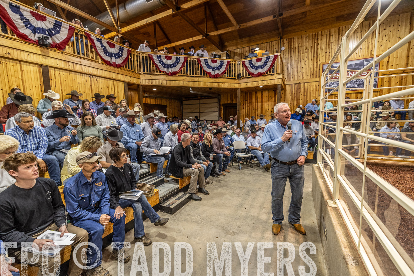 TMyers_FallBullSale_Cameron_Oct2023-525082