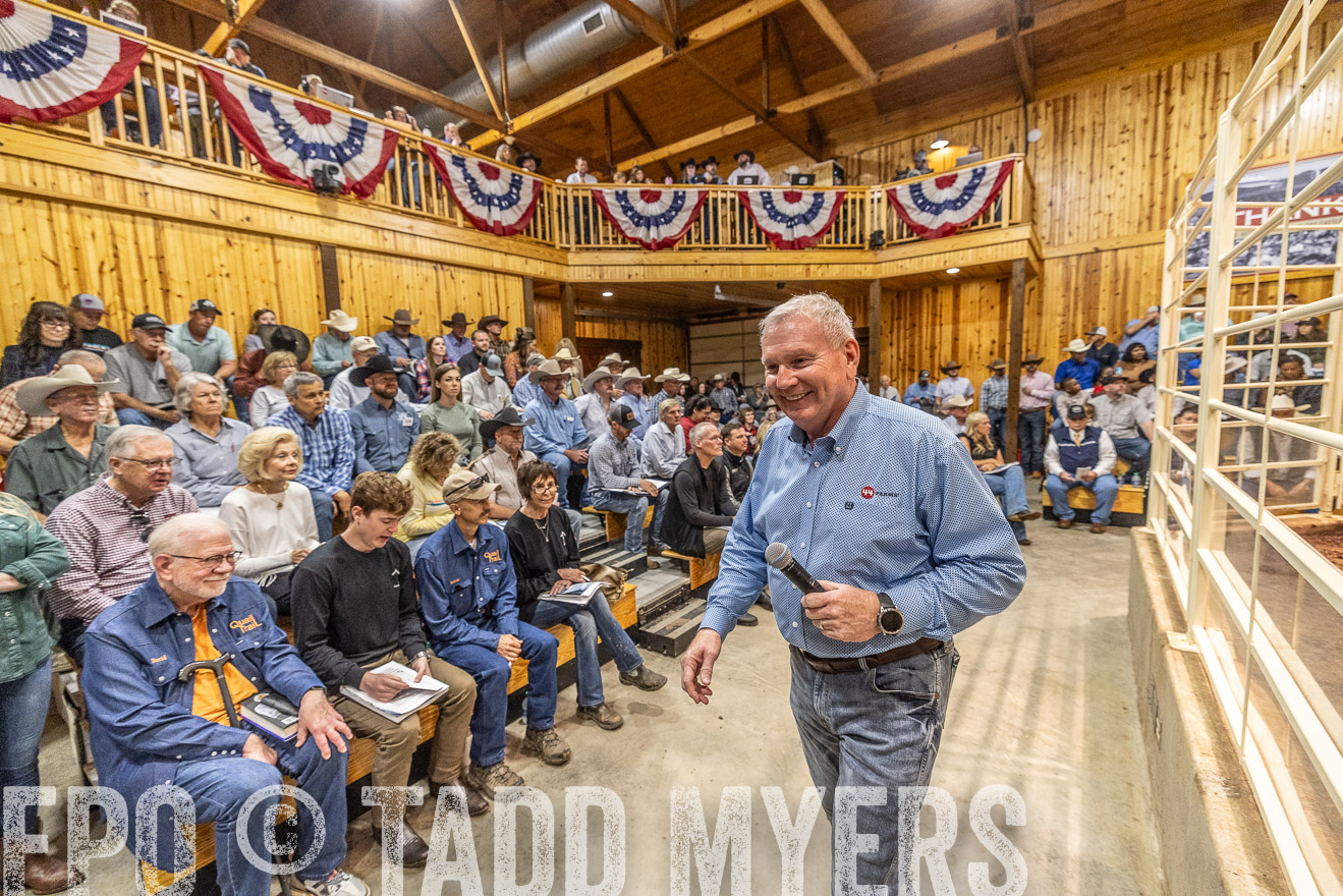 TMyers_FallBullSale_Cameron_Oct2023-525097