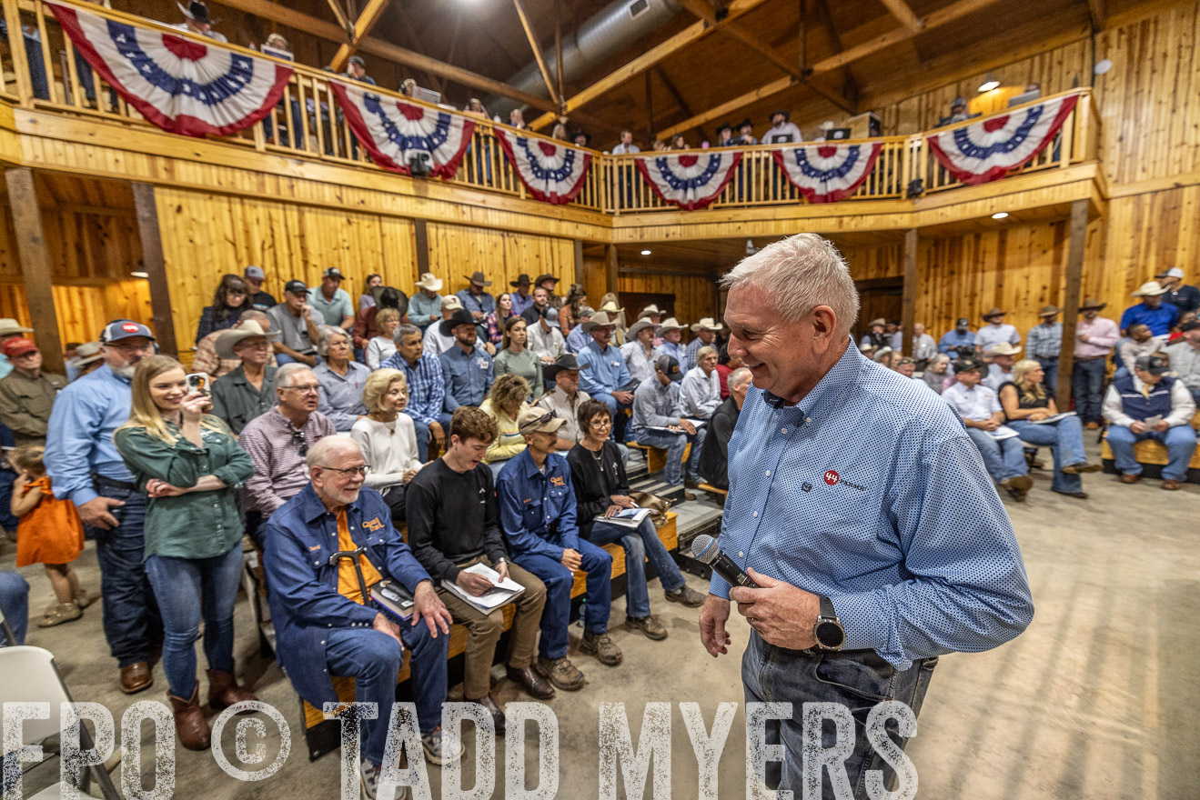 TMyers_FallBullSale_Cameron_Oct2023-525099