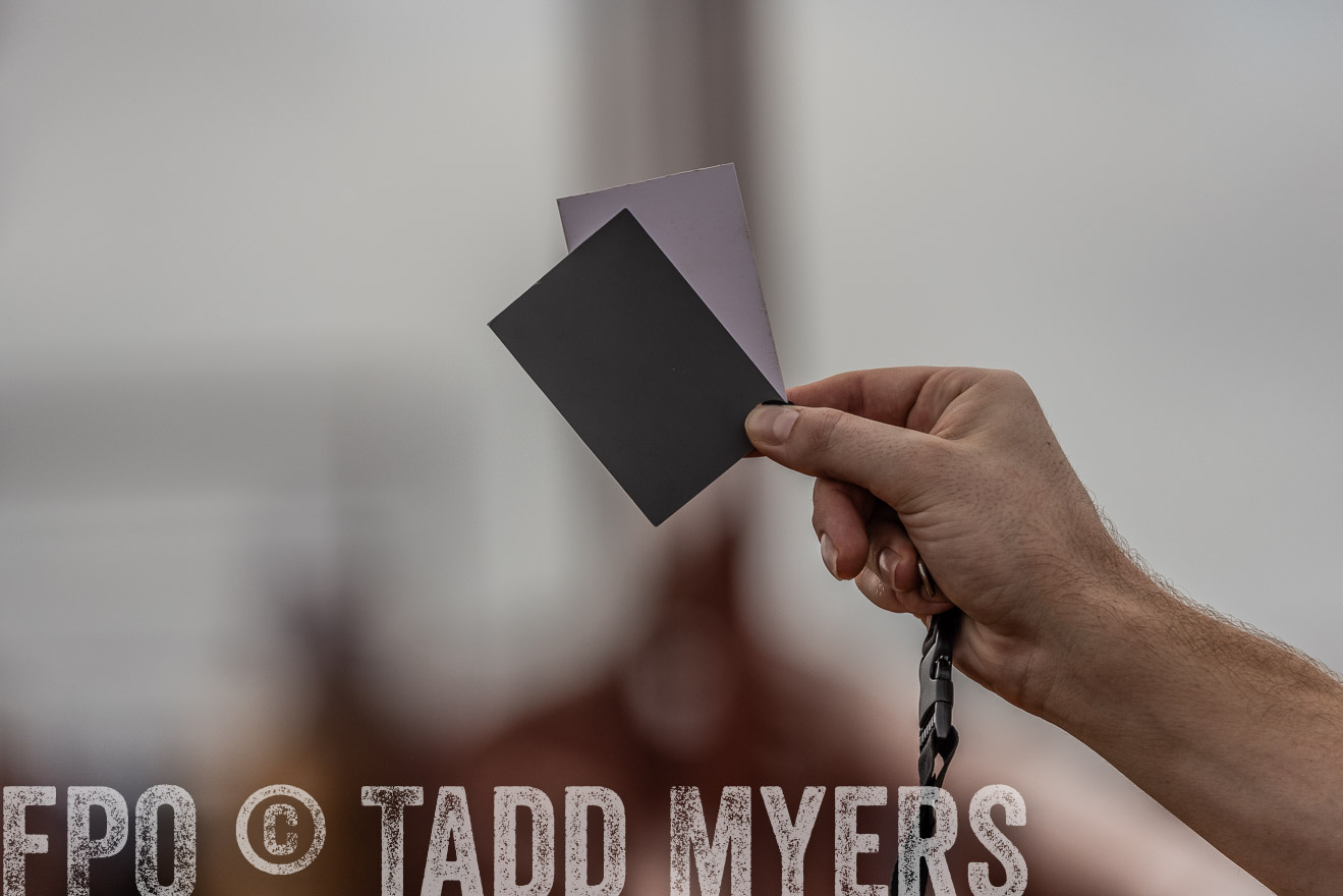TMyers_FallBullSale_Cameron_Oct2023-525518