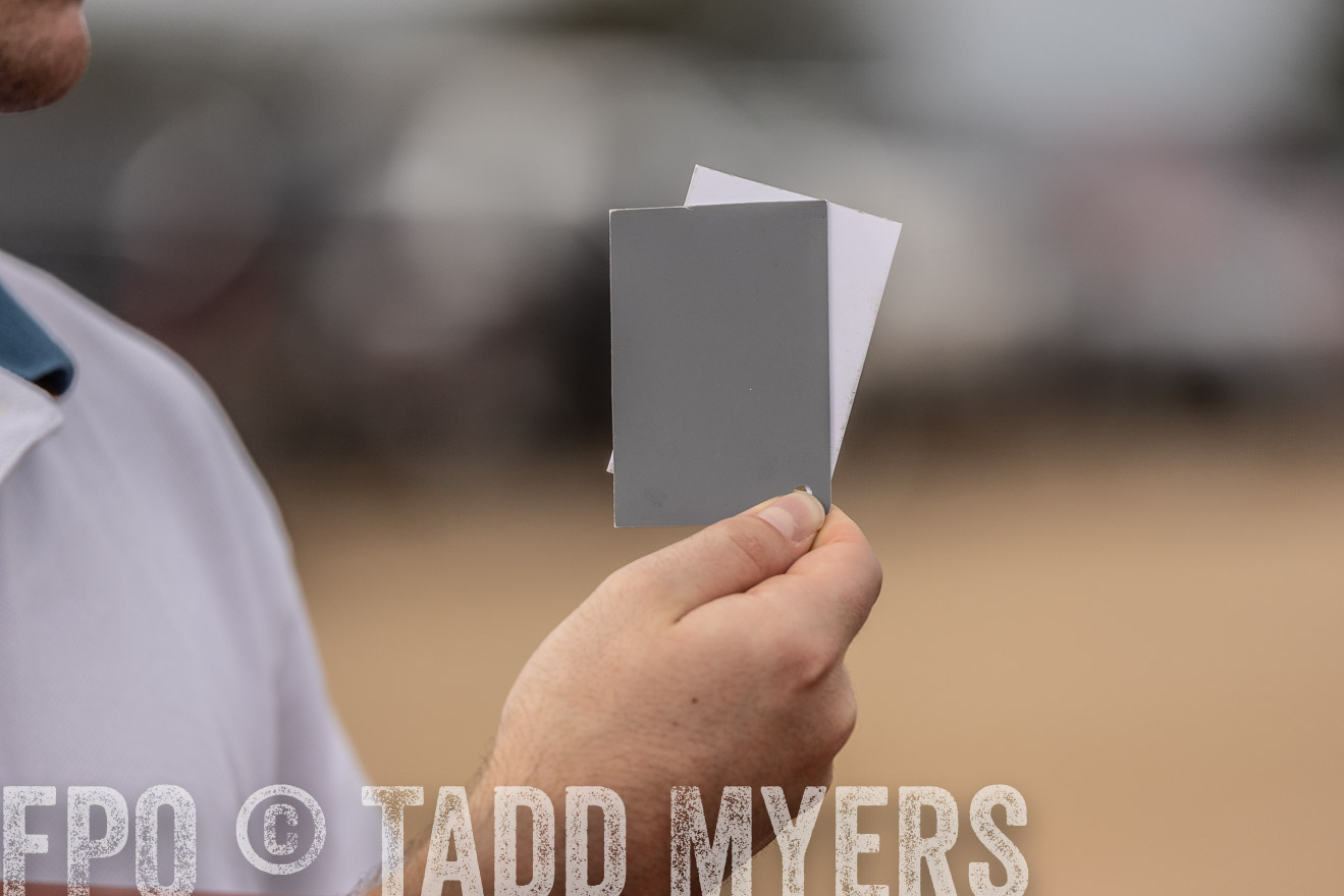 TMyers_FallBullSale_Cameron_Oct2023-525520