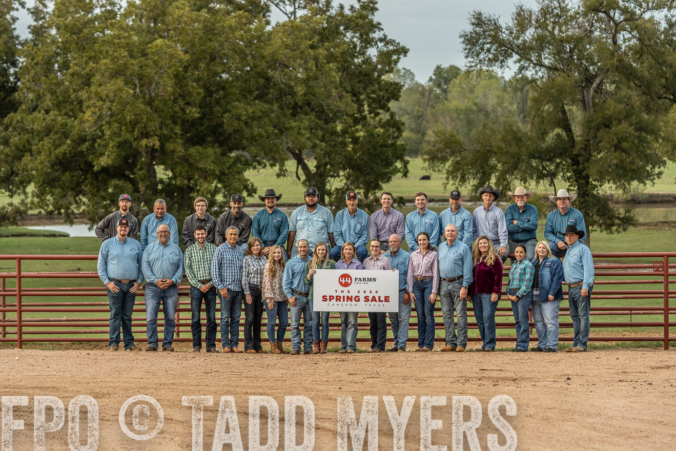 TMyers_FallBullSale_Cameron_Oct2023-525600