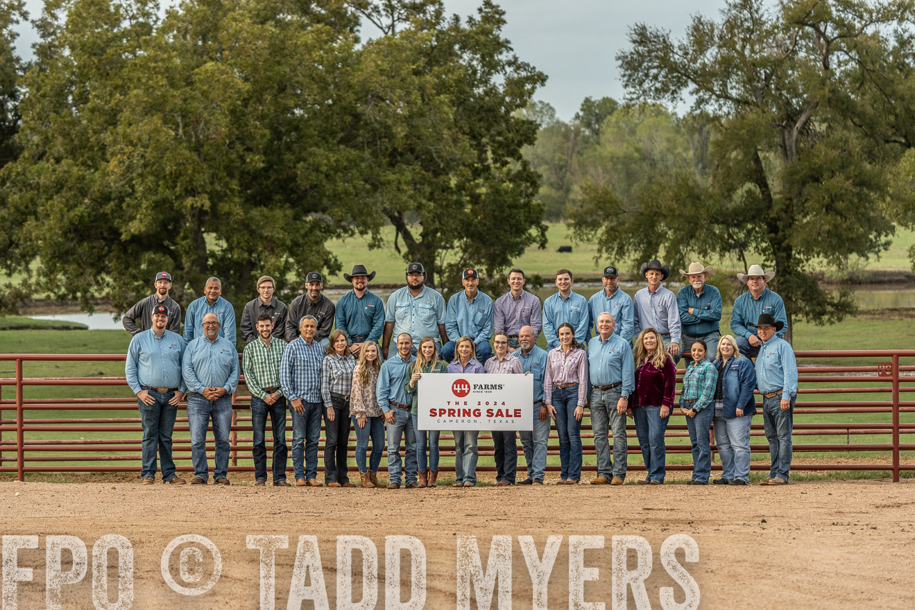 TMyers_FallBullSale_Cameron_Oct2023-525605