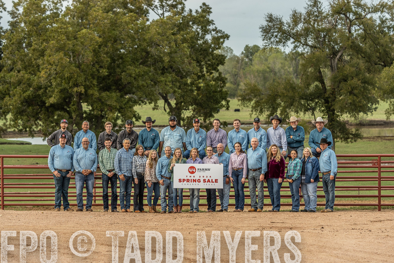 TMyers_FallBullSale_Cameron_Oct2023-525611
