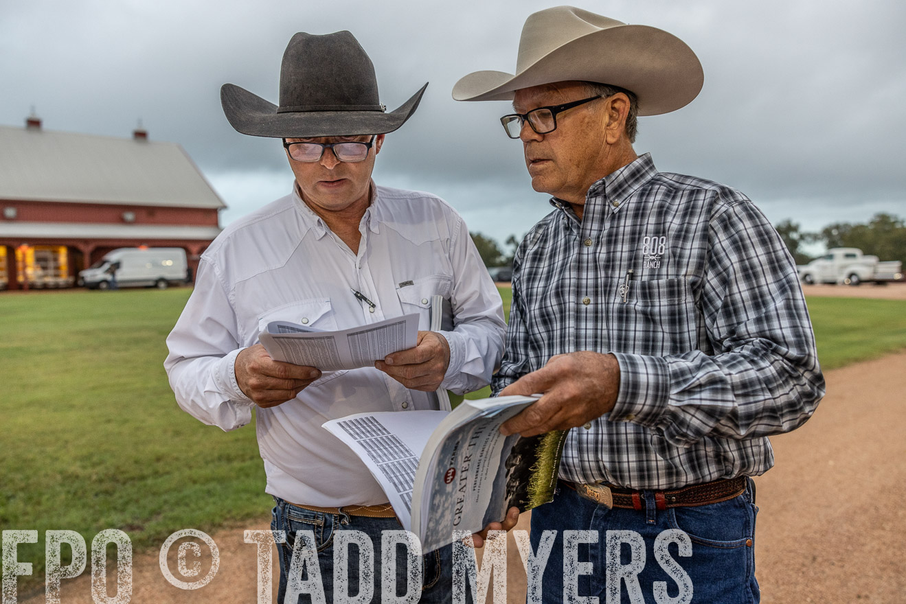 TMyers_FallBullSale_Cameron_Oct2023-514705