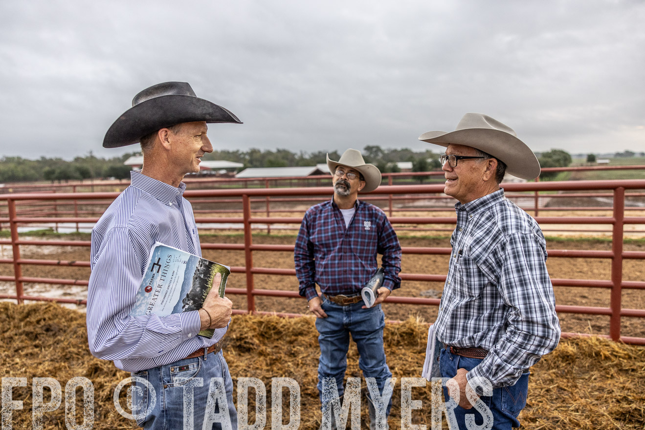 TMyers_FallBullSale_Cameron_Oct2023-514800