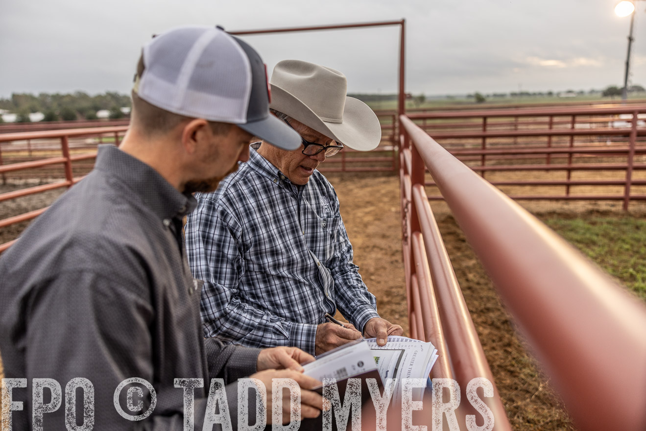 TMyers_FallBullSale_Cameron_Oct2023-514865