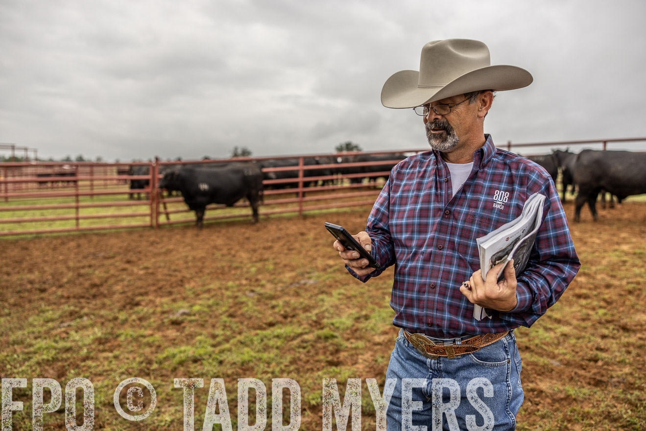 TMyers_FallBullSale_Cameron_Oct2023-514996