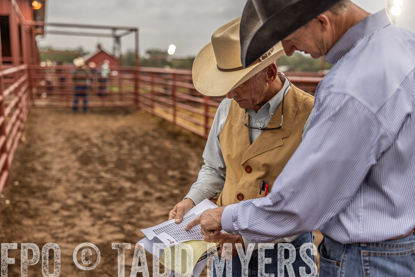 TMyers_FallBullSale_Cameron_Oct2023-515017