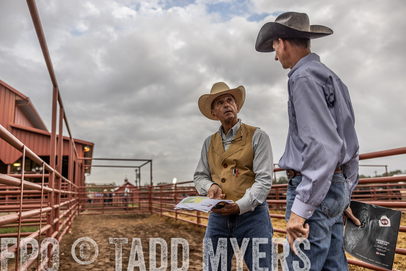 TMyers_FallBullSale_Cameron_Oct2023-515035