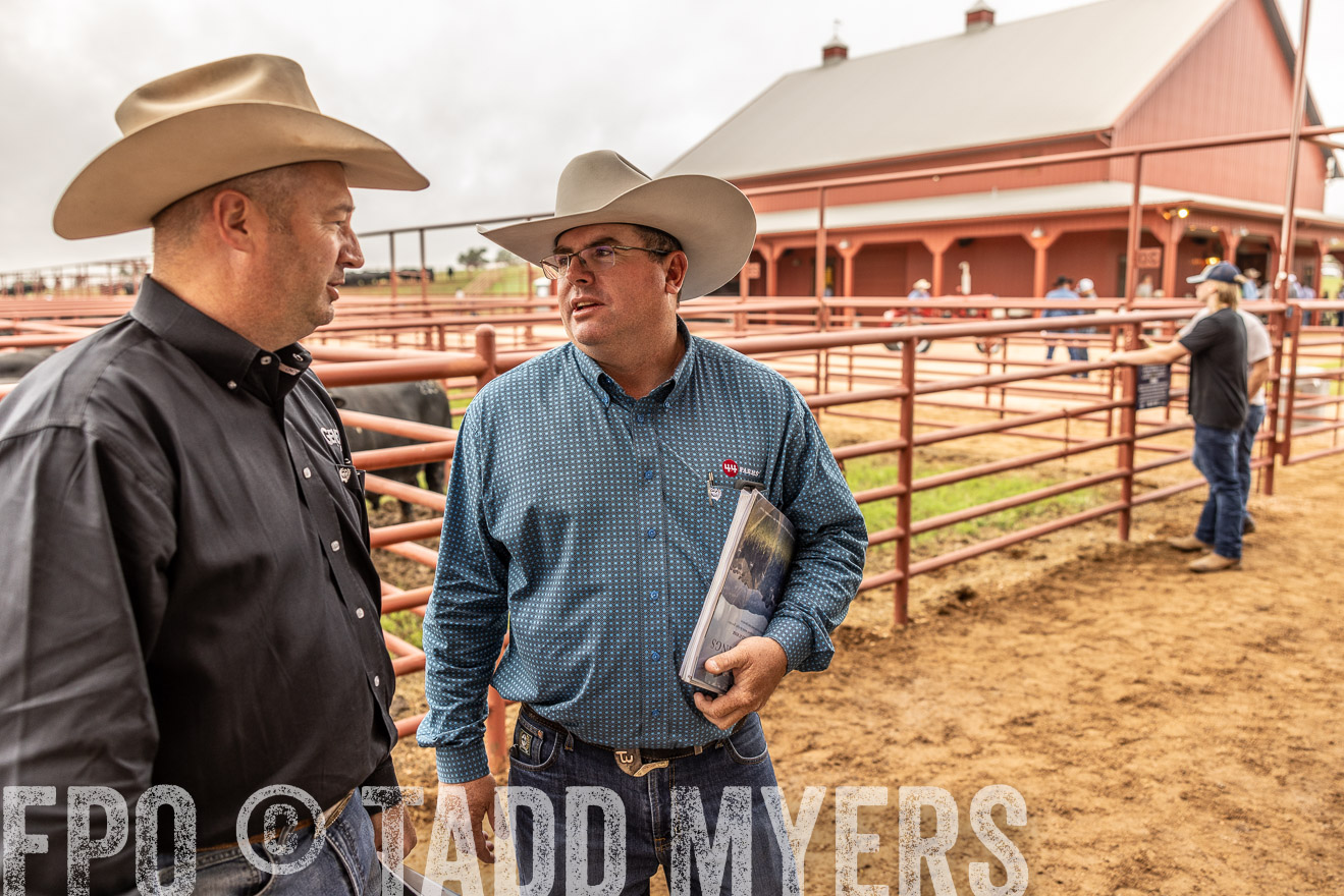 TMyers_FallBullSale_Cameron_Oct2023-515271