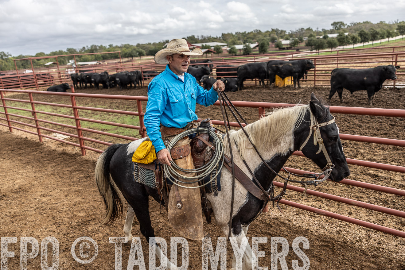 TMyers_FallBullSale_Cameron_Oct2023-515666