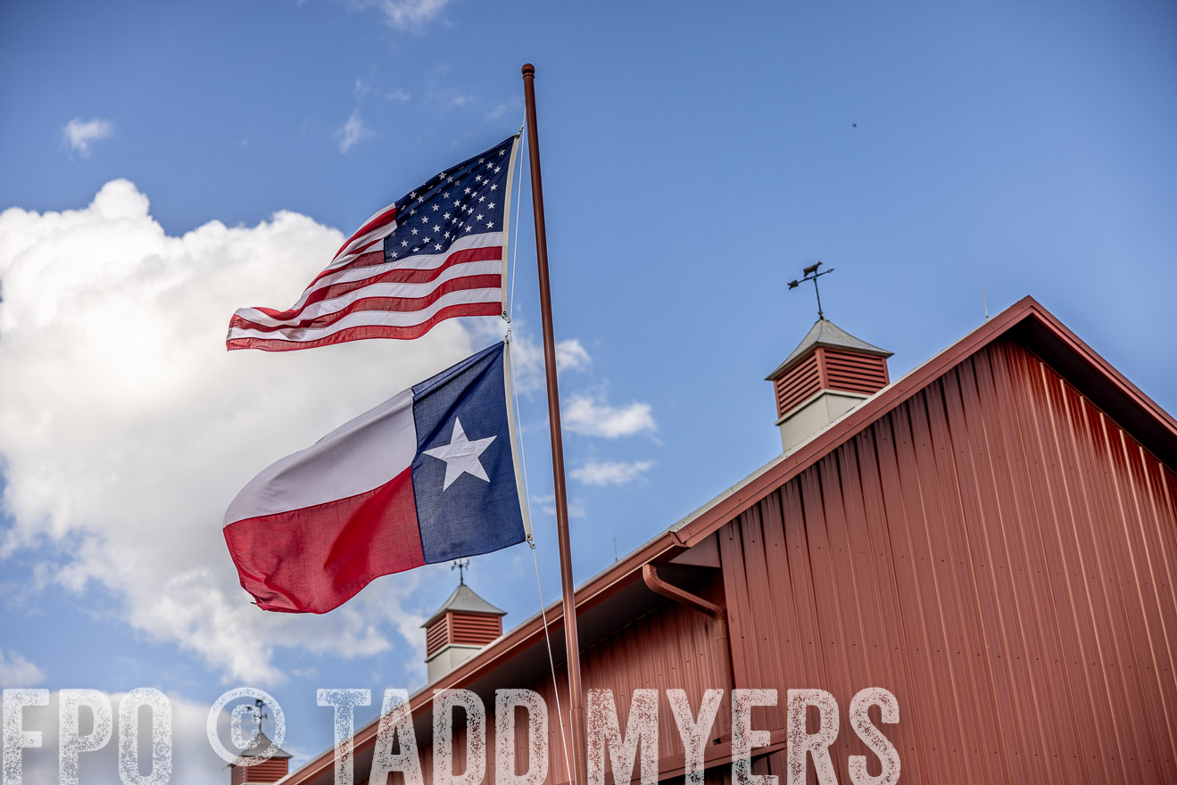 TMyers_FallBullSale_Cameron_Oct2023-515677