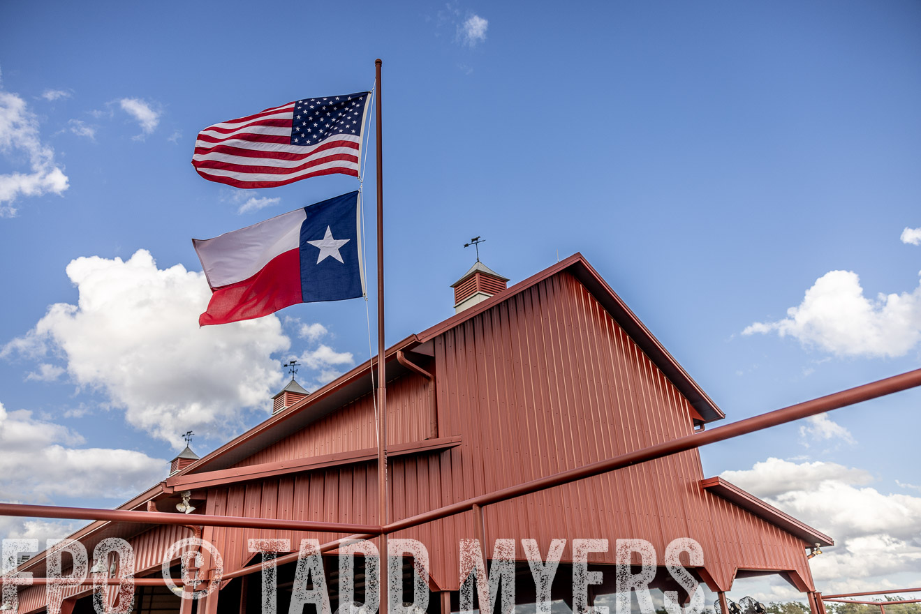 TMyers_FallBullSale_Cameron_Oct2023-515689