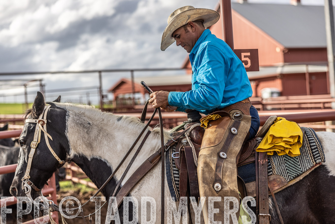 TMyers_FallBullSale_Cameron_Oct2023-515928