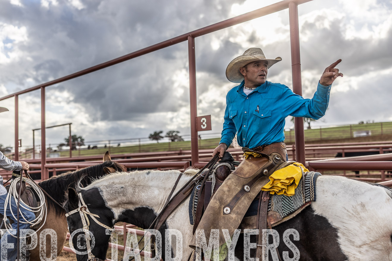 TMyers_FallBullSale_Cameron_Oct2023-515980