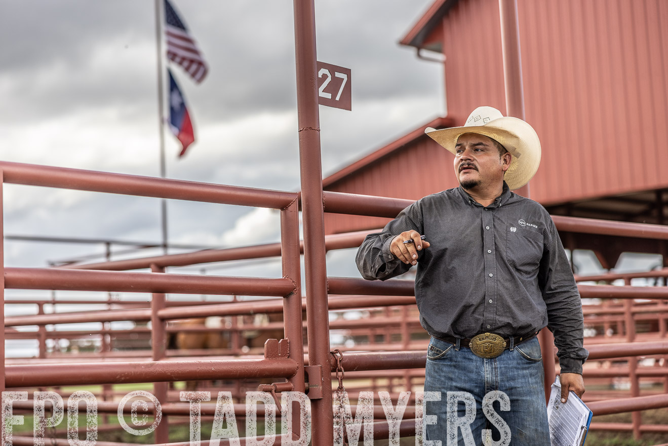 TMyers_FallBullSale_Cameron_Oct2023-516052