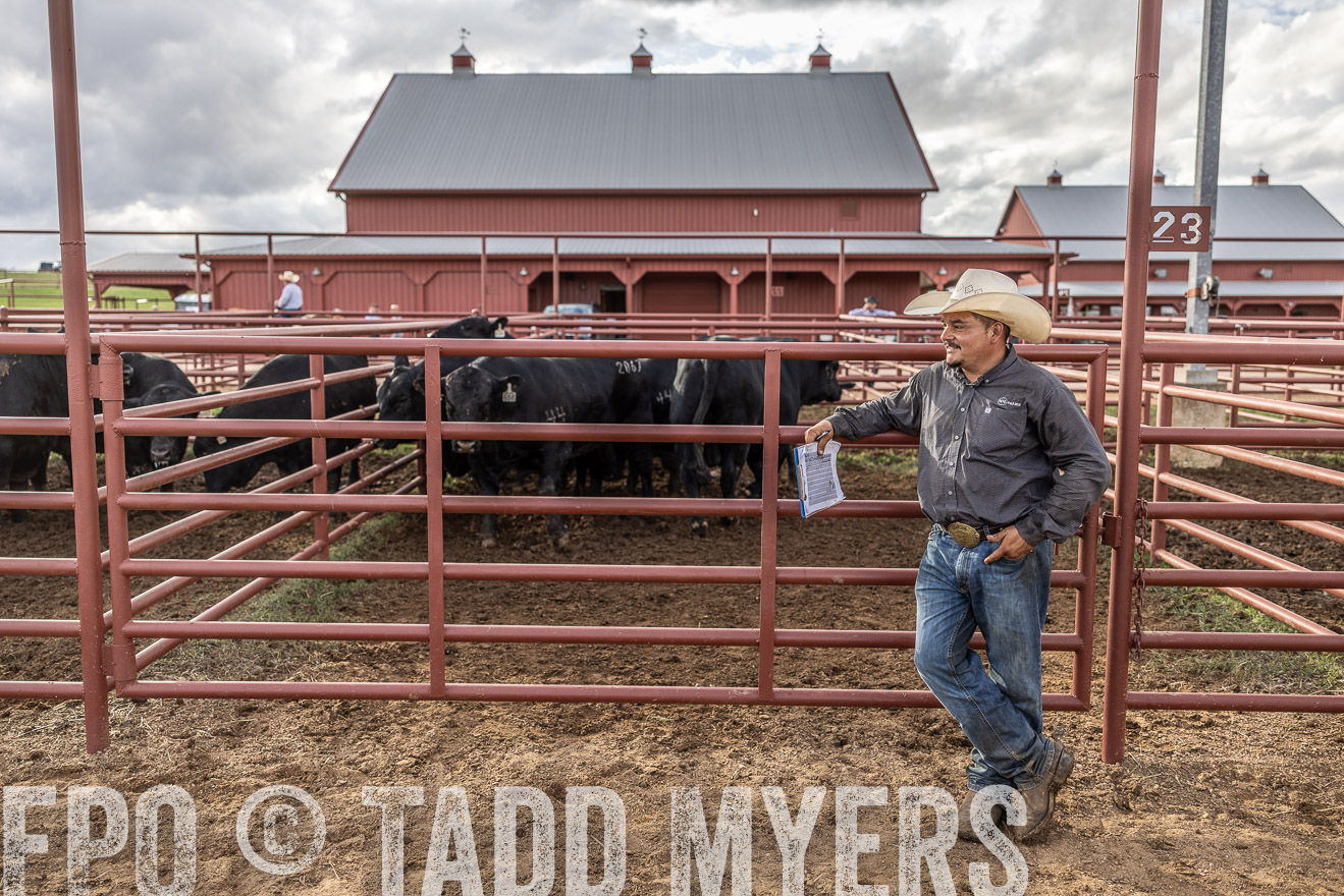 TMyers_FallBullSale_Cameron_Oct2023-516154