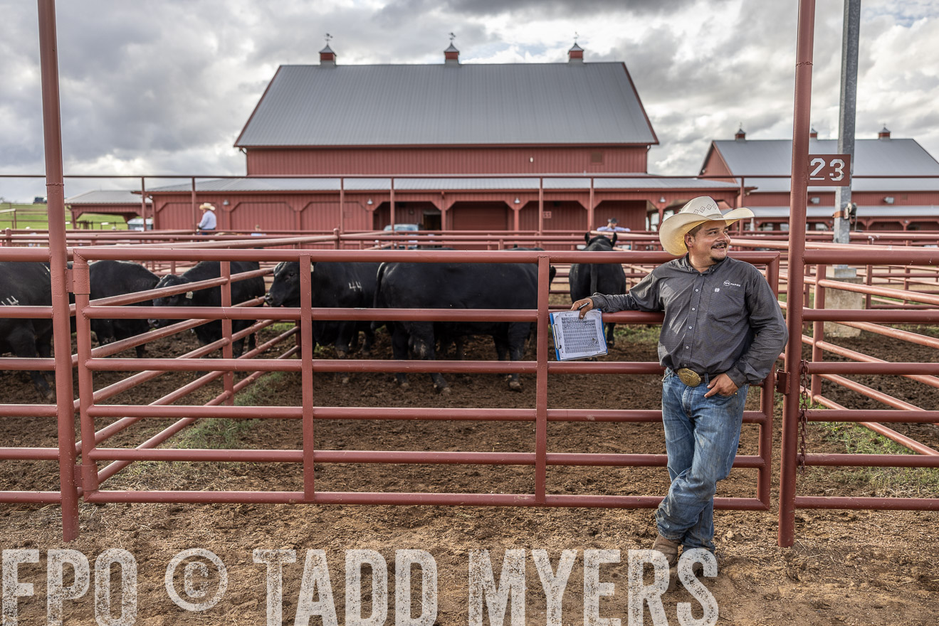 TMyers_FallBullSale_Cameron_Oct2023-516163