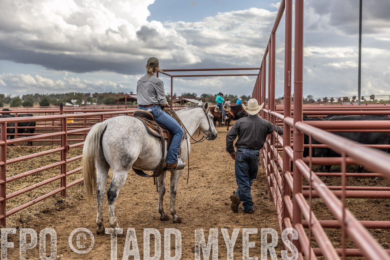 TMyers_FallBullSale_Cameron_Oct2023-516267
