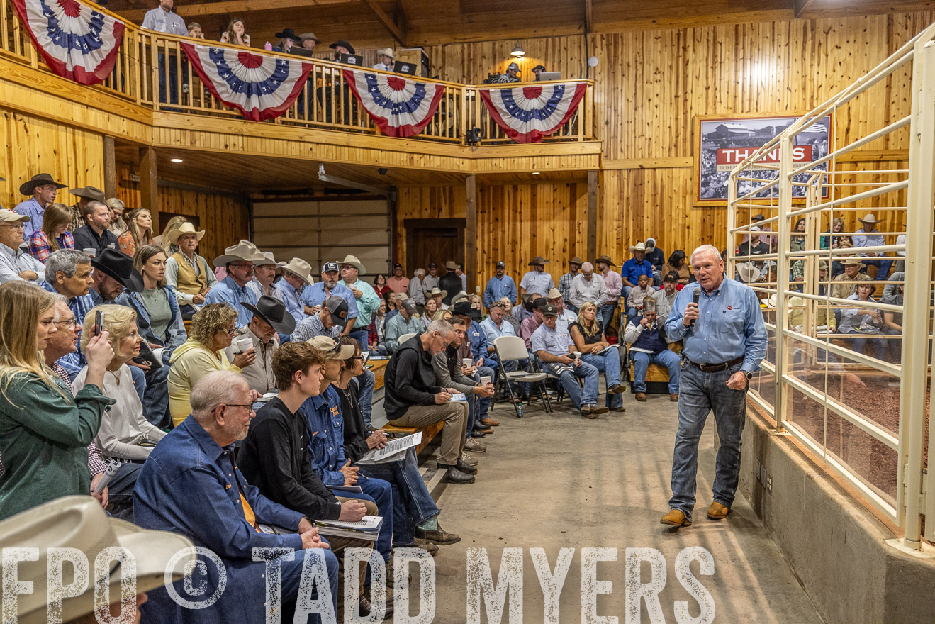 TMyers_FallBullSale_Cameron_Oct2023-525031