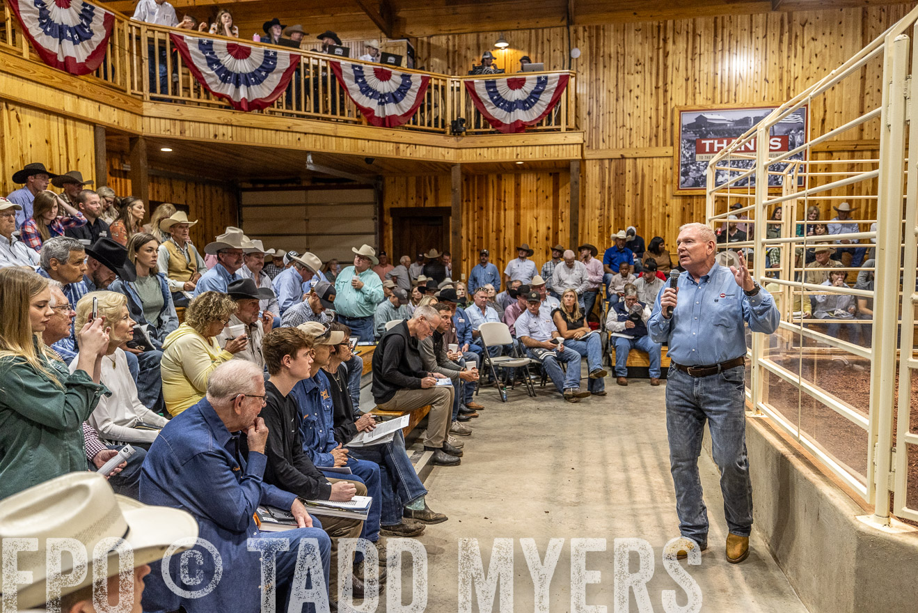 TMyers_FallBullSale_Cameron_Oct2023-525037