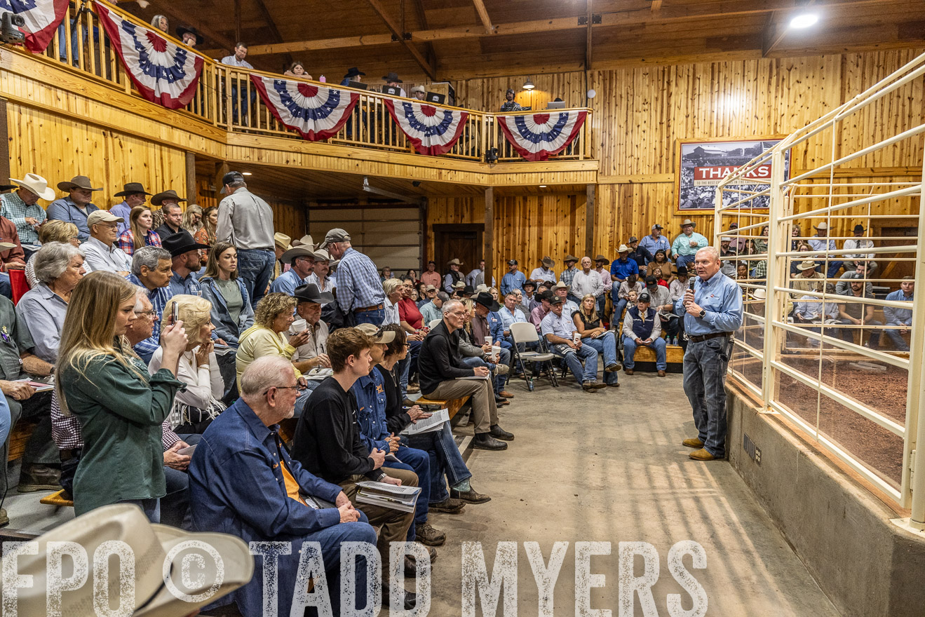 TMyers_FallBullSale_Cameron_Oct2023-525043