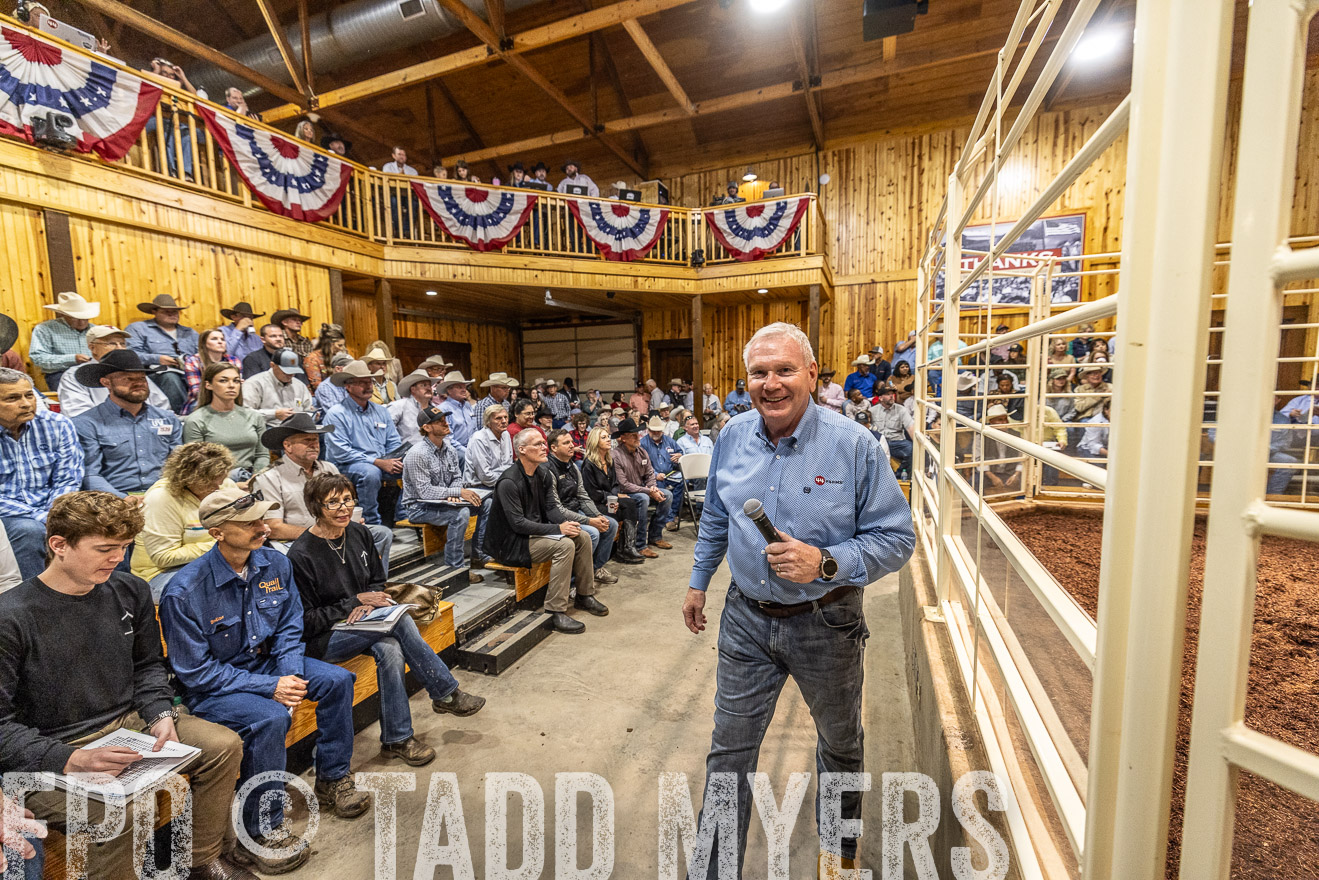TMyers_FallBullSale_Cameron_Oct2023-525096