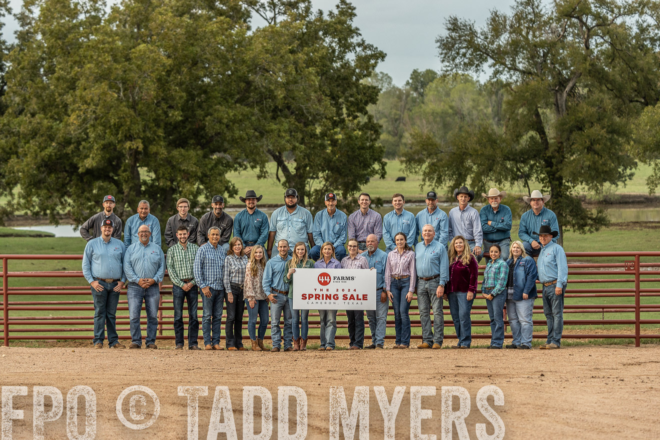 TMyers_FallBullSale_Cameron_Oct2023-525602