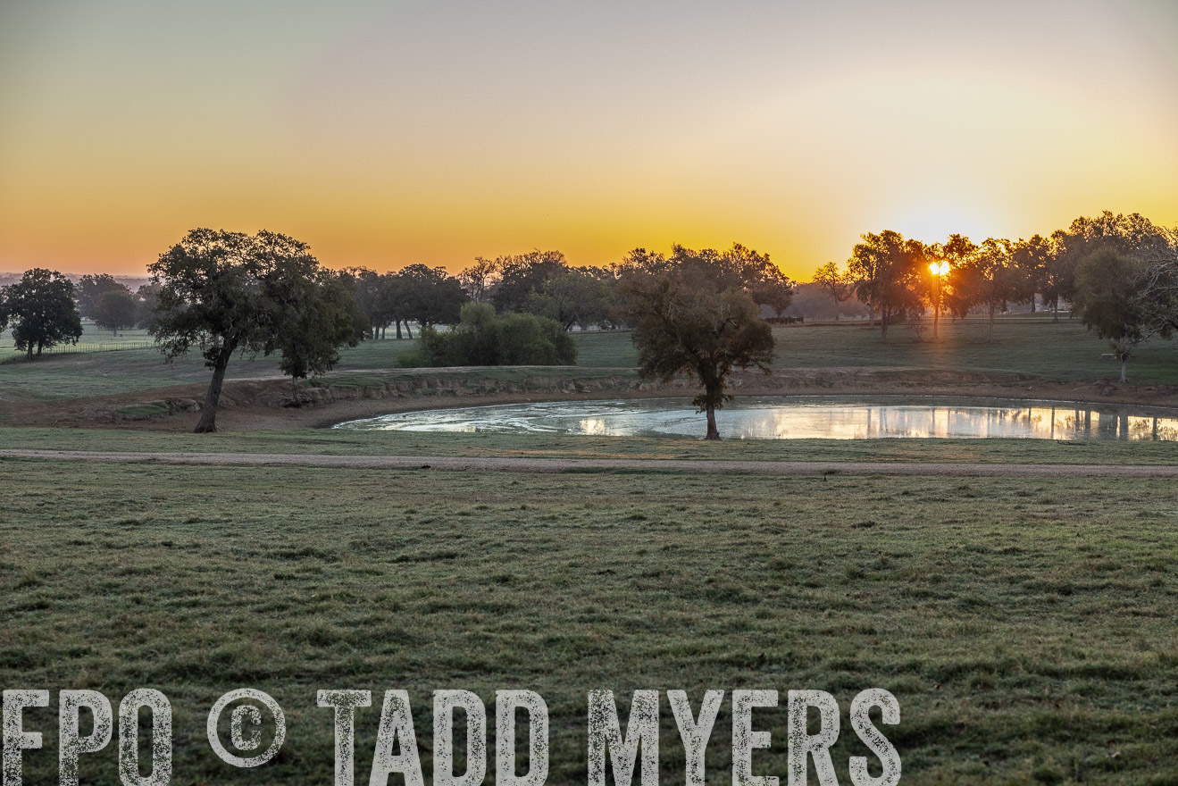 TMyers_Females_Ranchers_Cameron_Oct2023-511514