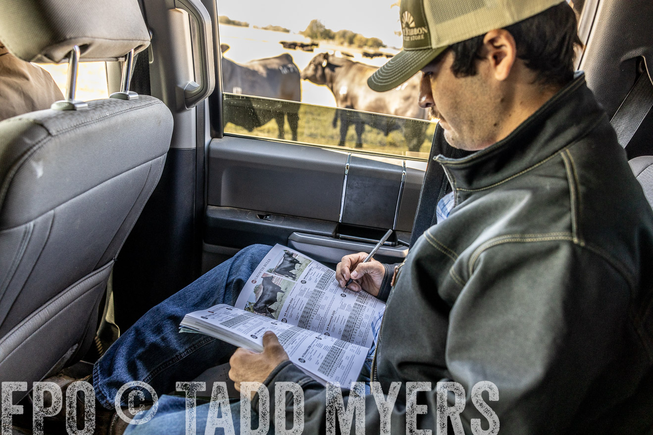 TMyers_Females_Ranchers_Cameron_Oct2023-512268