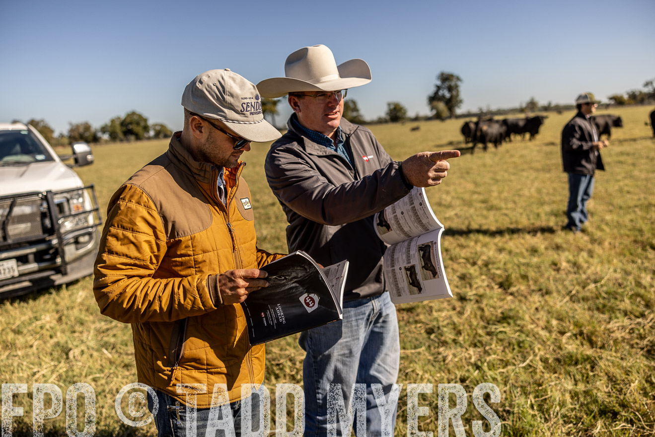 TMyers_Females_Ranchers_Cameron_Oct2023-512347