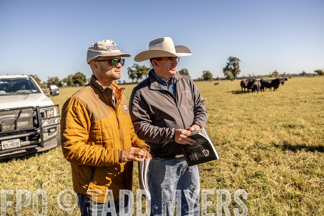 TMyers_Females_Ranchers_Cameron_Oct2023-512354