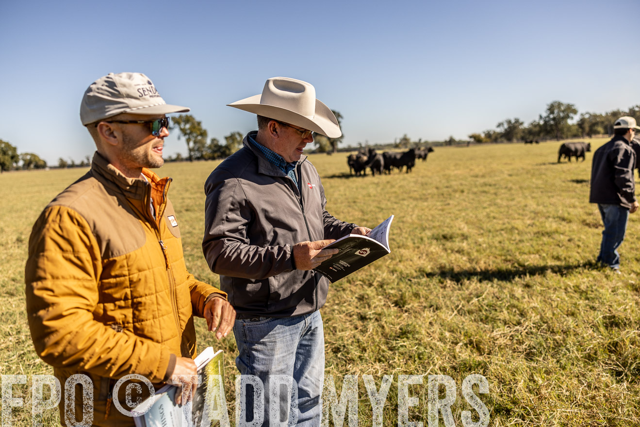 TMyers_Females_Ranchers_Cameron_Oct2023-512356