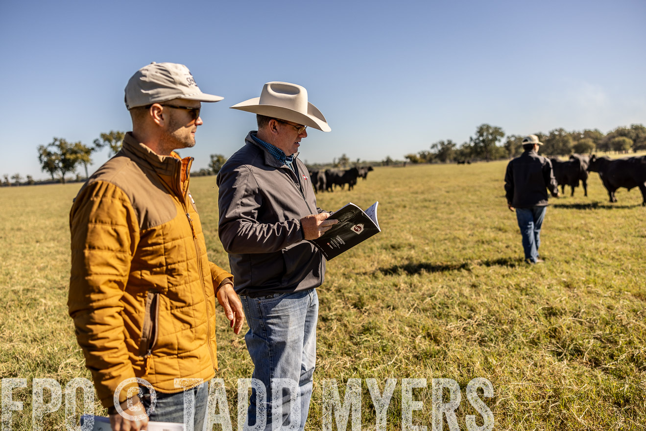 TMyers_Females_Ranchers_Cameron_Oct2023-512359