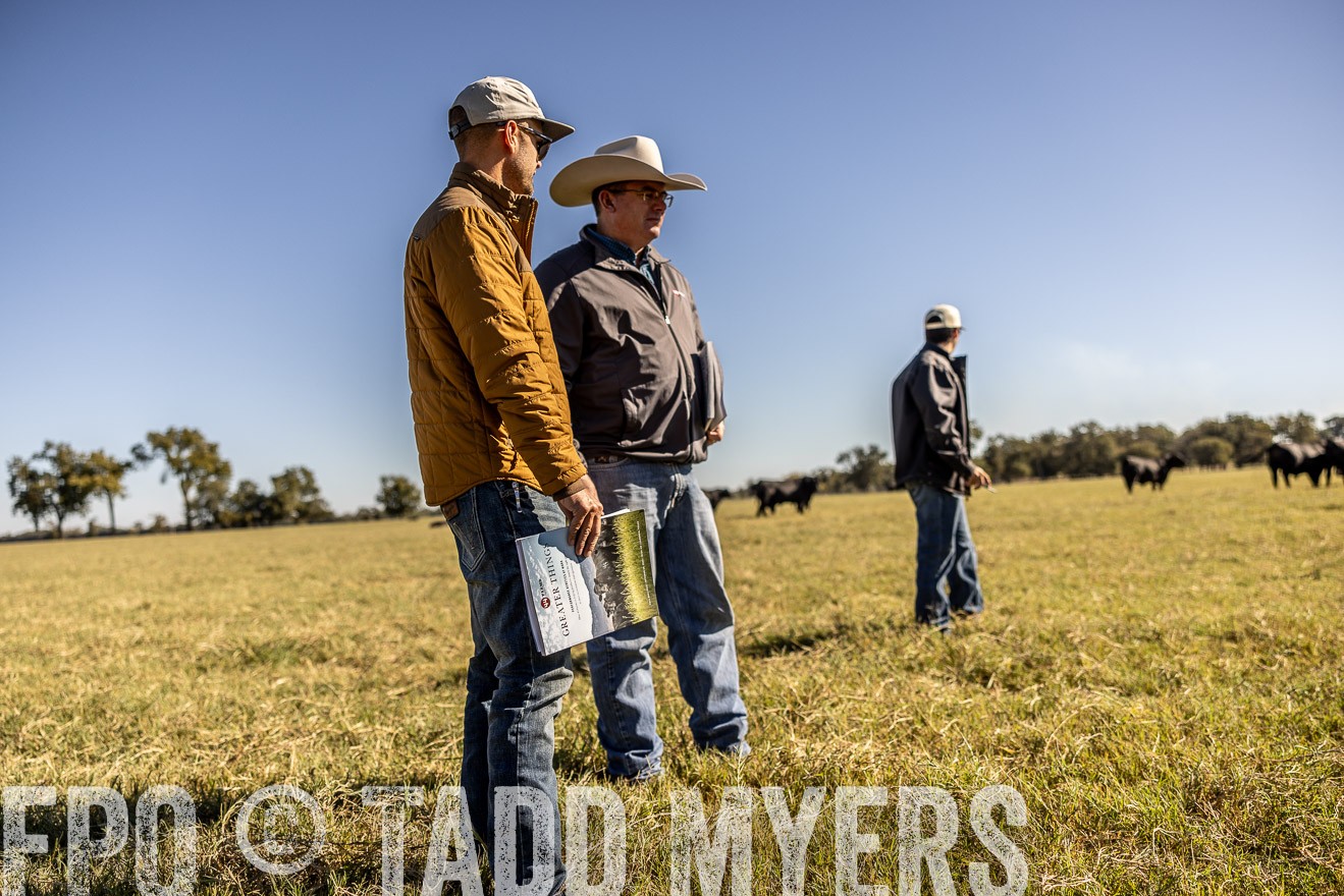 TMyers_Females_Ranchers_Cameron_Oct2023-512387